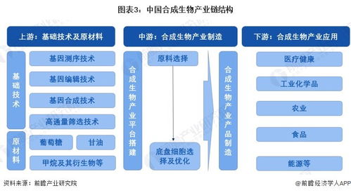 2024年中國合成生物產(chǎn)業(yè)全景圖譜 規(guī)模、布局與技術(shù)路線解析