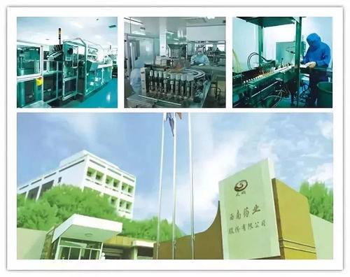 改革開放四十年 沙坪壩工業(yè)發(fā)展與網(wǎng)絡(luò)技術(shù)的融合創(chuàng)新