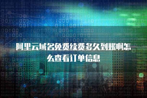 域名續費流程與到賬時間解析